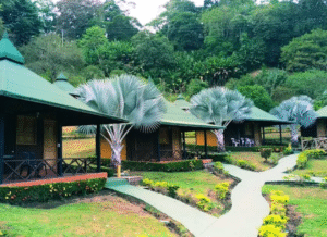 cabañas anayansi trigana (2)