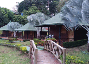 cabañas anayansi trigana (3)