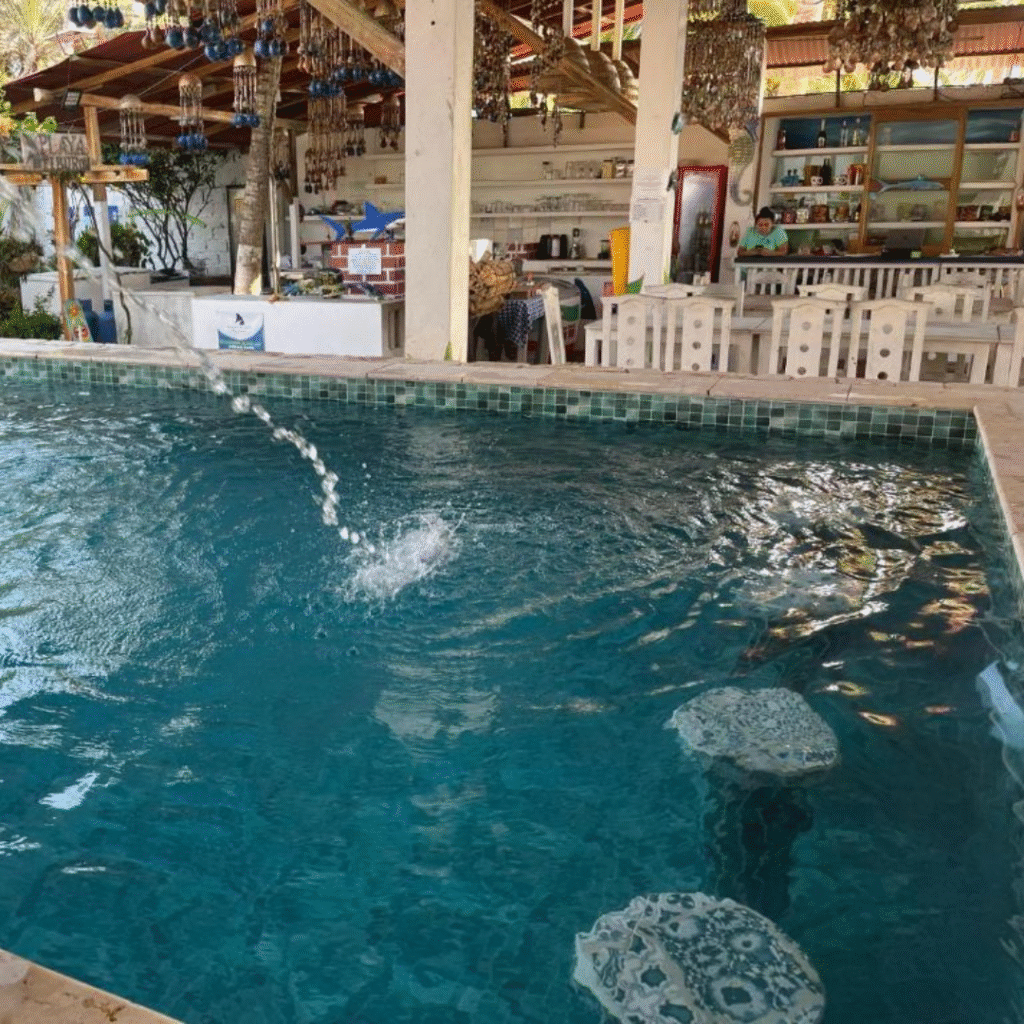 Hotel Playa Tiburón Piscina